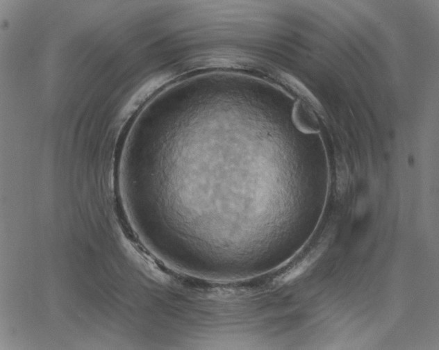 X0000064040938200601271158