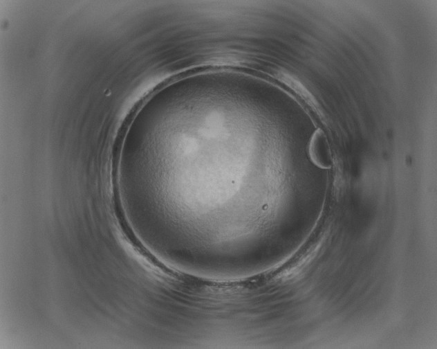 X0000064040939200601271158