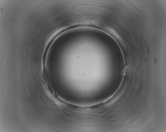 X0000064040940200601271158