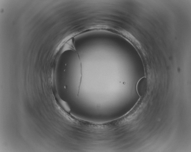 X0000064040945200601271158