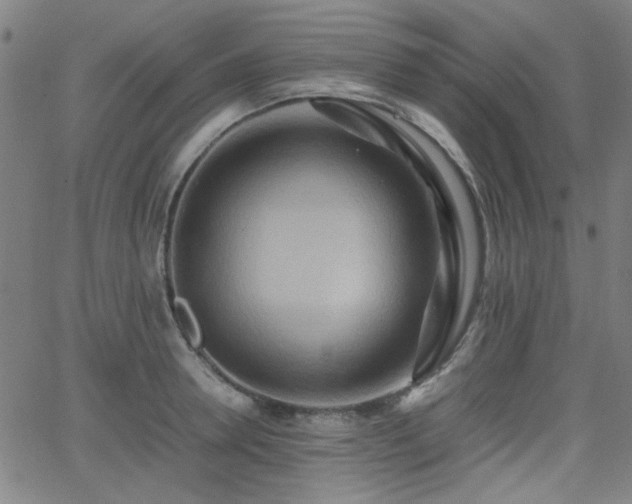 X0000064040946200601271158