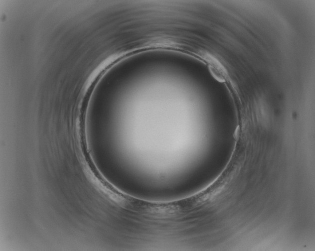 X0000064040947200601271159