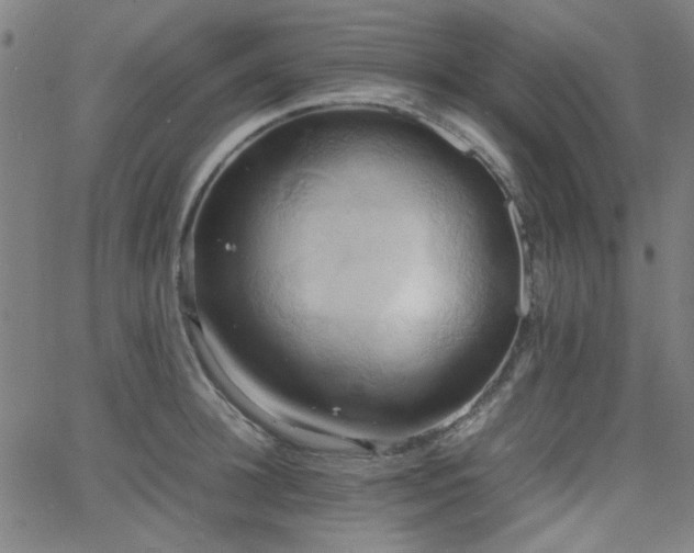 X0000064040948200601271159