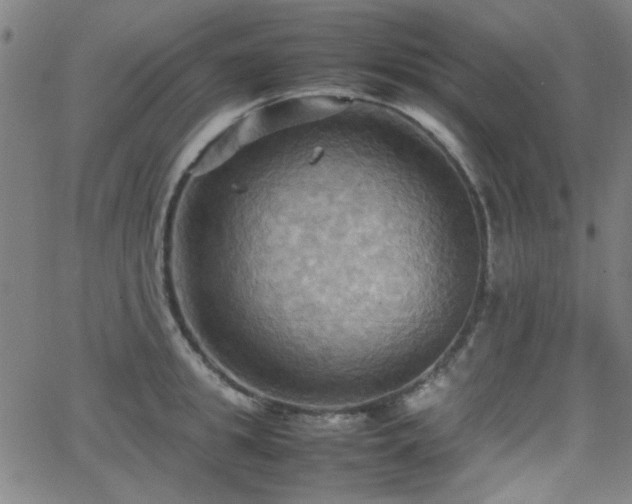 X0000064040949200601271159