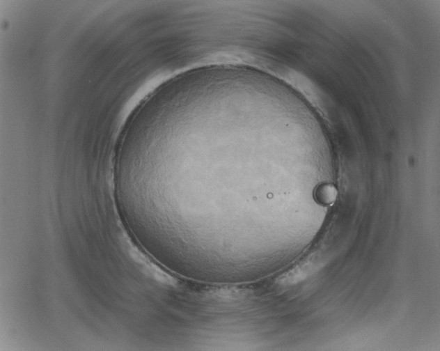 X0000064040950200601271159