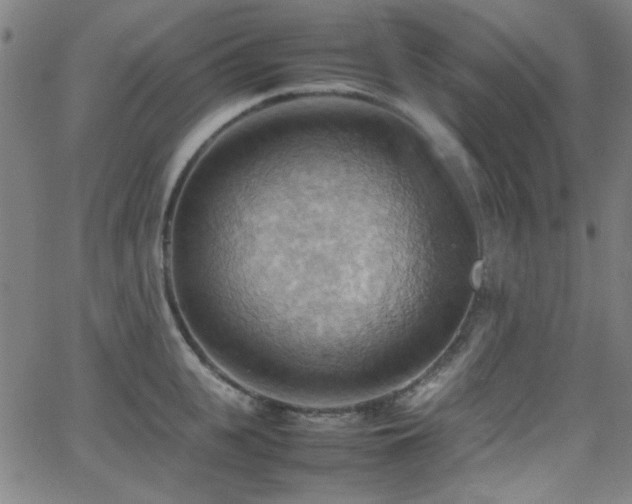 X0000064040951200601271159