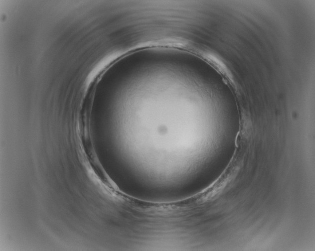 X0000064040952200601271159