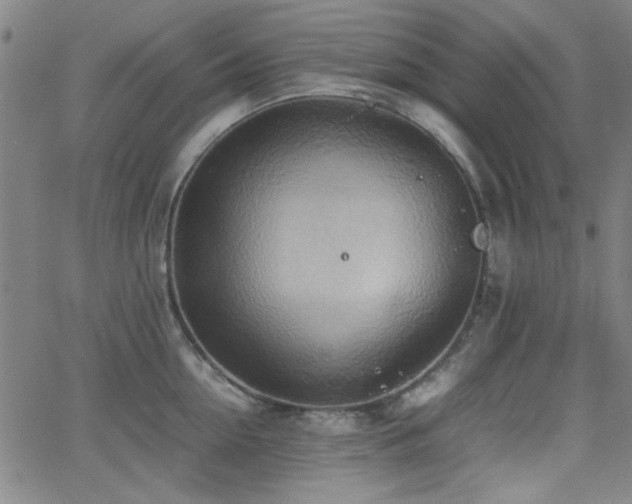 X0000064040954200601271159