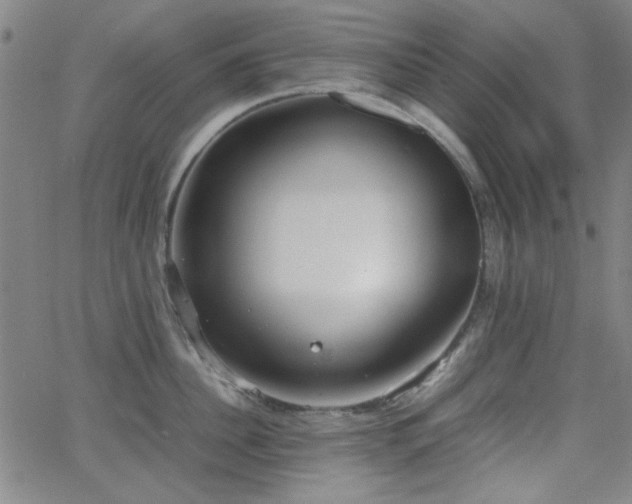 X0000064040956200601271159