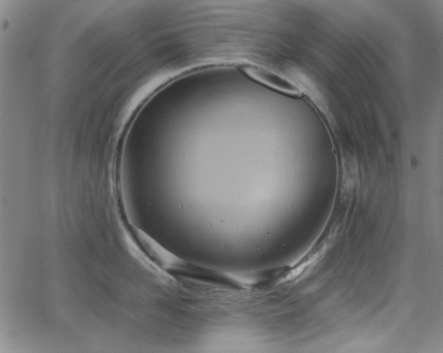 X0000064040958200601271159