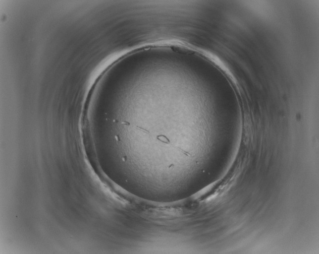 X0000064040959200601271159