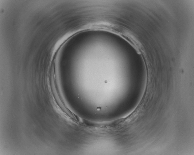 X0000064040960200601271159