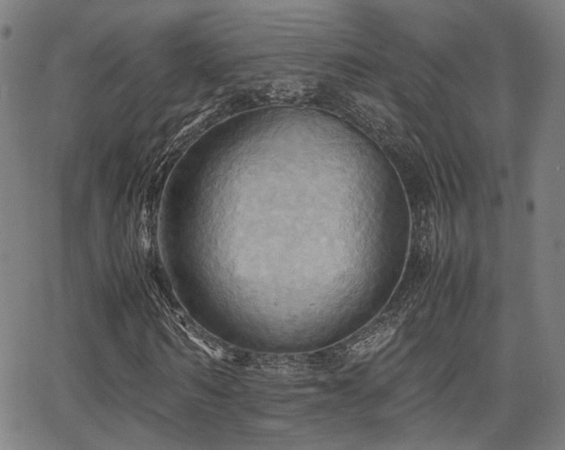 X0000064040962200601271158