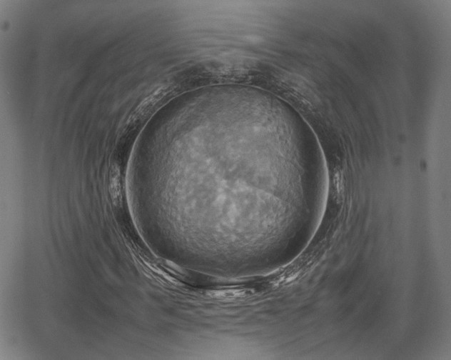 X0000064040963200601271158