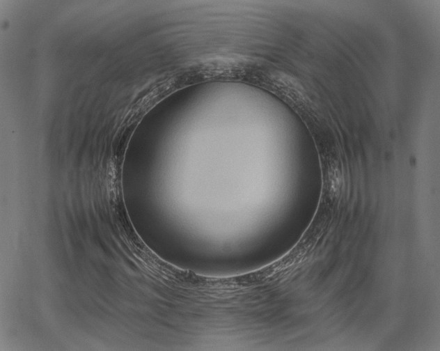 X0000064040964200601271158