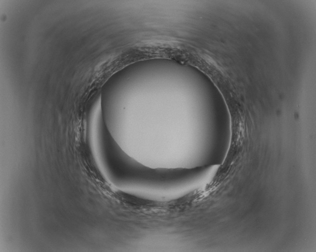 X0000064040965200601271158