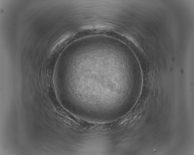 X0000064040967200601271158