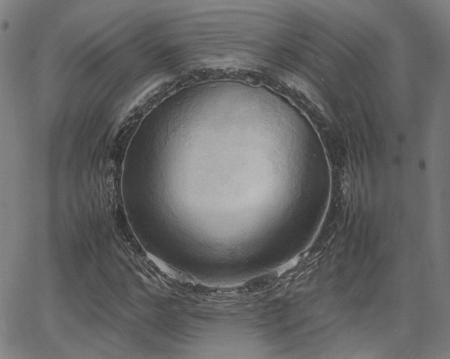 X0000064040968200601271158