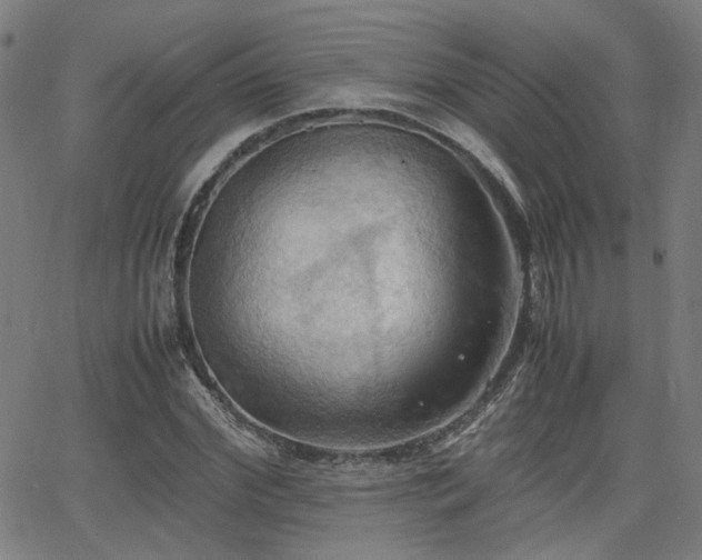 X0000064040972200601271158