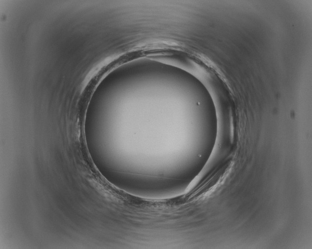 X0000064040973200601271158