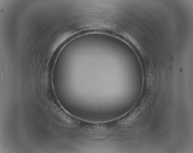 X0000064040975200601271158