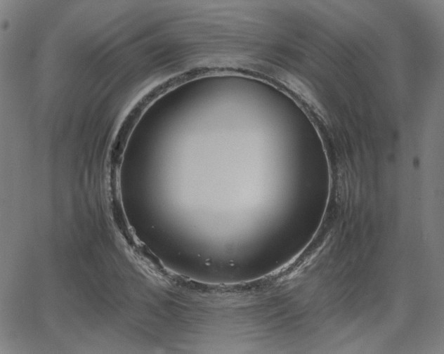 X0000064040976200601271158