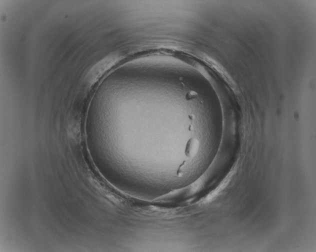 X0000064040977200601271158