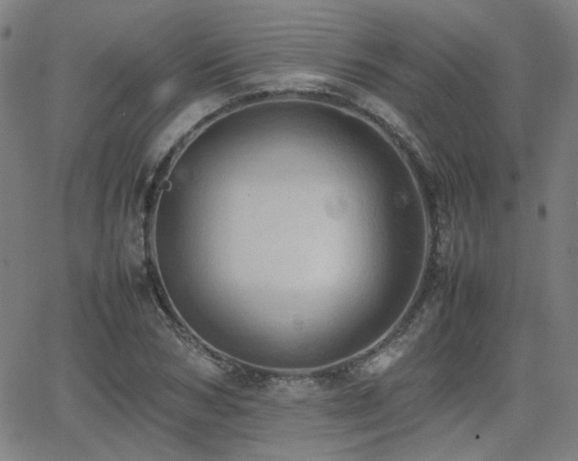 X0000064040978200601271158