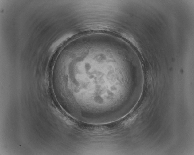 X0000064040979200601271158