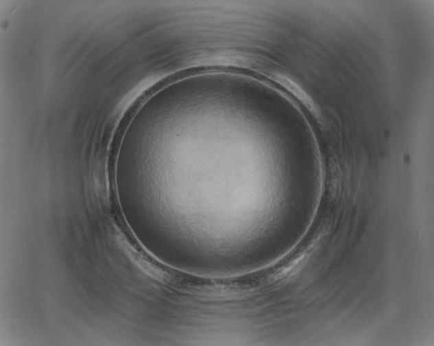 X0000064040980200601271158