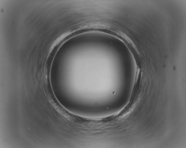 X0000064040981200601271158