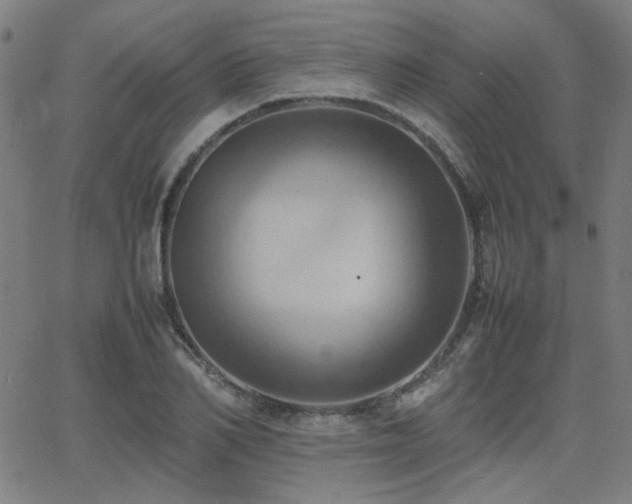 X0000064040982200601271158