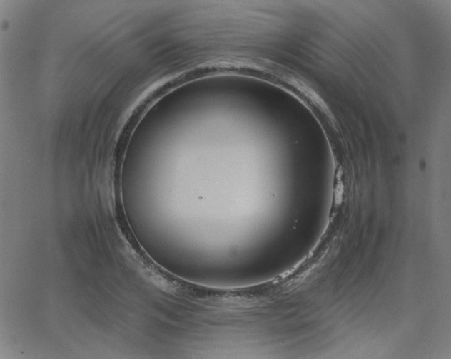 X0000064040984200601271158