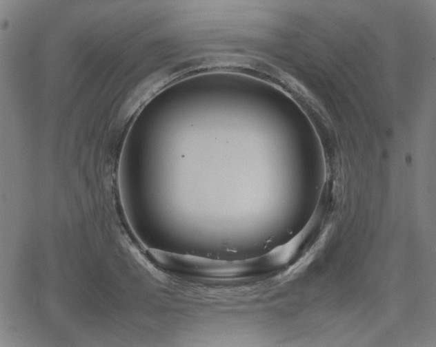 X0000064040985200601271158