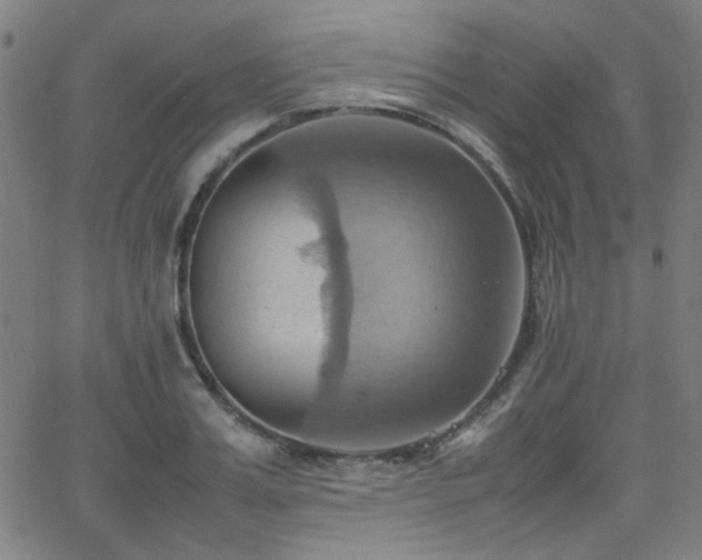 X0000064040987200601271158