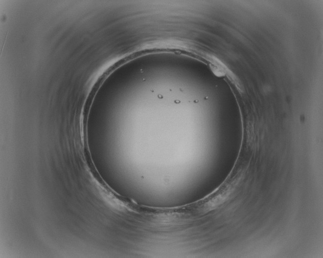 X0000064040988200601271158