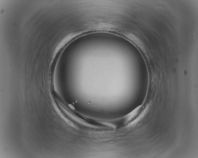 X0000064040989200601271157