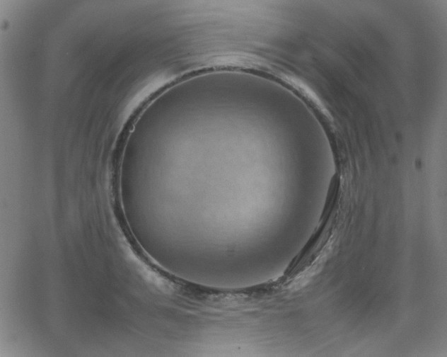 X0000064040991200601271157