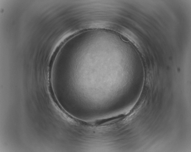 X0000064040992200601271157