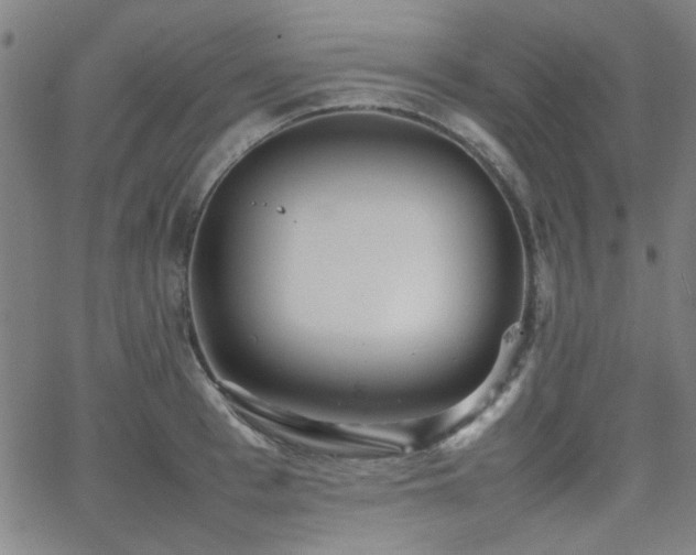 X0000064040993200601271157