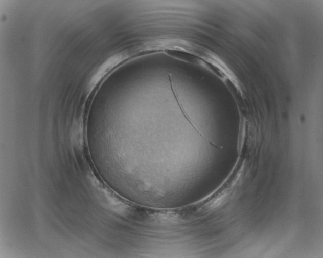 X0000064040994200601271157