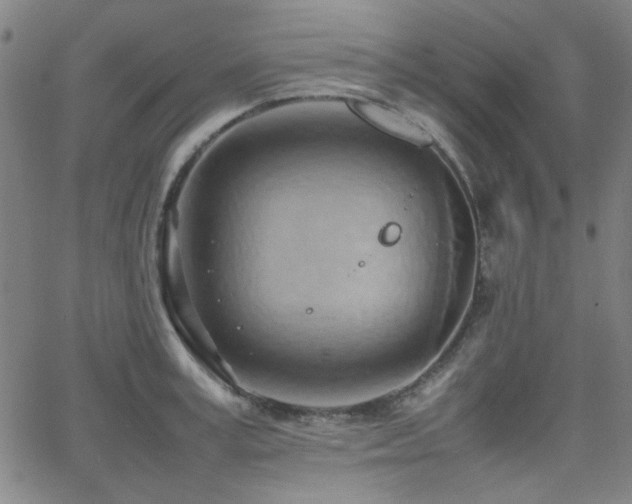 X0000064040995200601271157