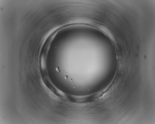 X0000064040996200601271157