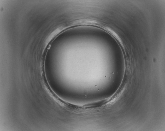 X0000064040997200601271157