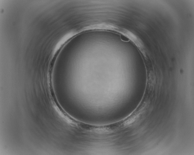 X0000064040998200601271157