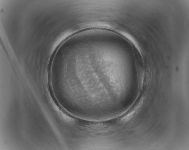 X0000064040999200601271157