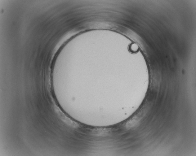 X0000064041000200601271157