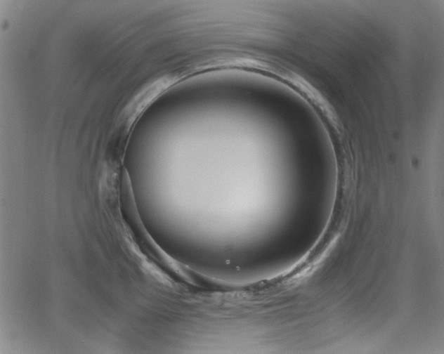 X0000064041001200601271157