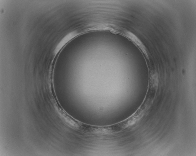 X0000064041002200601271157