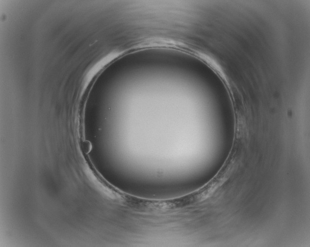 X0000064041003200601271157